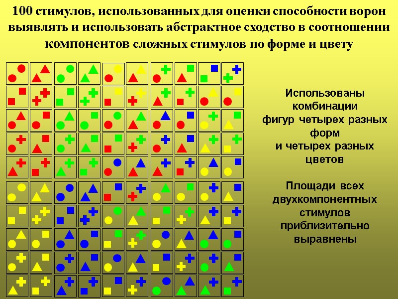 100 стимулов, использованных для оценки способности ворон выявлять и использовать абстрактное сходство в соотношении